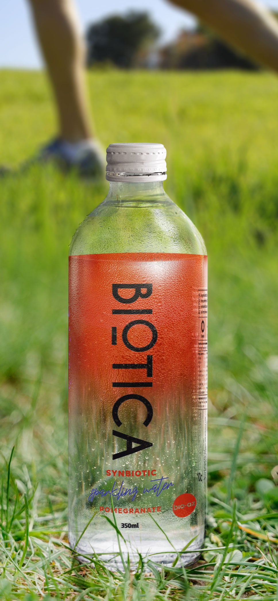 Biotica Synbiotic Water for Improved Digestive Health – Biotica Water